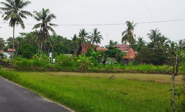 Dijual Tanah Strategis Dekat Pantai Batukaras – Cocok untuk Villa & Hotel