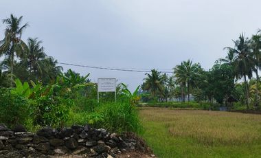 Dijual Tanah Strategis Dekat Pantai Batukaras – Cocok untuk Villa & Hotel