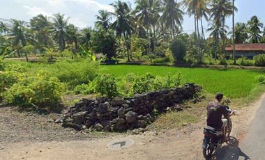 Dijual Tanah Strategis Dekat Pantai Batukaras – Cocok untuk Villa & Hotel