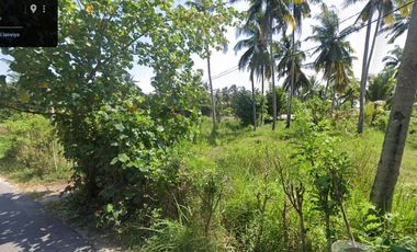 Dijual Tanah Strategis Dekat Pantai Batukaras – Cocok untuk Villa & Hotel