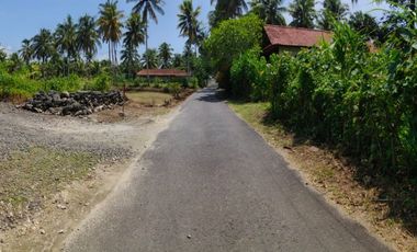 Dijual Tanah Strategis Dekat Pantai Batukaras – Cocok untuk Villa & Hotel