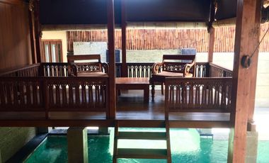 5 Unit Complex Villa in Kutat Lestari Sanur For Sale