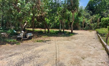 JUAL TANAH MURAH DI PECATU, KUTA SELATAN, BADUNG BALI