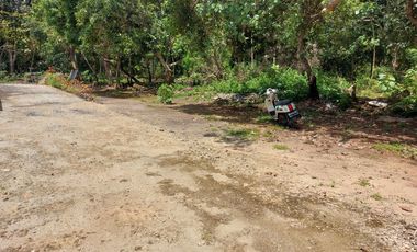JUAL TANAH MURAH DI PECATU, KUTA SELATAN, BADUNG BALI