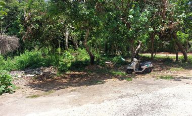 JUAL TANAH MURAH DI PECATU, KUTA SELATAN, BADUNG BALI