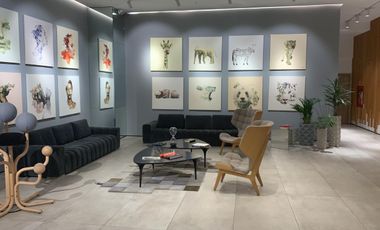 Departamento de Lujo en Renta - Espectacular Penthouse Amoblado