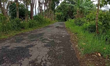 Tanah Murah View Mewah dekat Pasar Jagalan