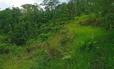 Tanah Murah View Mewah dekat Pasar Jagalan