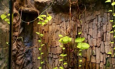 Dijual Kosan Penginapan Berjalan dekat TSM Trans Studio Mall di Bandung