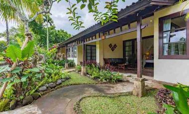 BOUTIQUE HOTEL IN UBUD, BALI