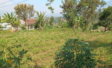 CUKANG KAWUNG (JL SIRNAJAYA) GARUT