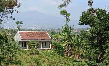 CUKANG KAWUNG (JL SIRNAJAYA) GARUT
