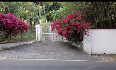 🌿 RANCHO EN VENTA EN TEMASCALTEPEC | IDEAL DESARROLLO ECOTURÍSTICO  38,000 m² | A pie de carretera | Cerca de Valle de Bravo