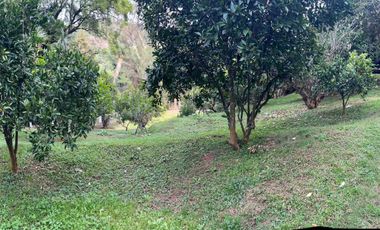 🌿 RANCHO EN VENTA EN TEMASCALTEPEC | IDEAL DESARROLLO ECOTURÍSTICO  38,000 m² | A pie de carretera | Cerca de Valle de Bravo