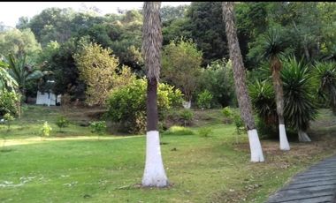 🌿 RANCHO EN VENTA EN TEMASCALTEPEC | IDEAL DESARROLLO ECOTURÍSTICO  38,000 m² | A pie de carretera | Cerca de Valle de Bravo