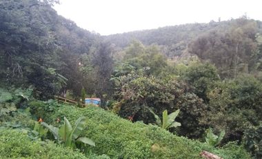 🌿 RANCHO EN VENTA EN TEMASCALTEPEC | IDEAL DESARROLLO ECOTURÍSTICO  38,000 m² | A pie de carretera | Cerca de Valle de Bravo