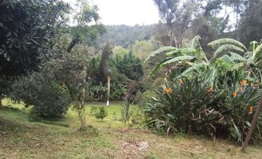 🌿 RANCHO EN VENTA EN TEMASCALTEPEC | IDEAL DESARROLLO ECOTURÍSTICO  38,000 m² | A pie de carretera | Cerca de Valle de Bravo