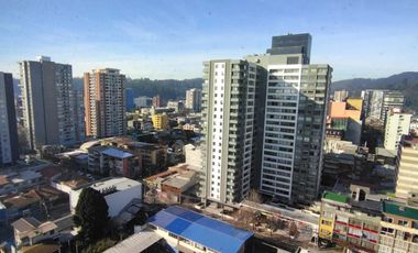 Espectacular depto de 2D2B+E totalmente amoblado en Concepción
