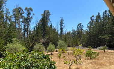 Venta De Casa En Algarrobo