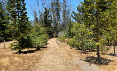 Venta De Casa En Algarrobo