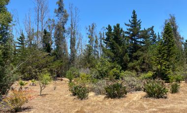 Venta De Casa En Algarrobo