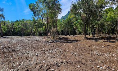 Parcelas exclusivas en Proyecto a orilla del Río Calcurrupe, Llifén, Región de Los Ríos