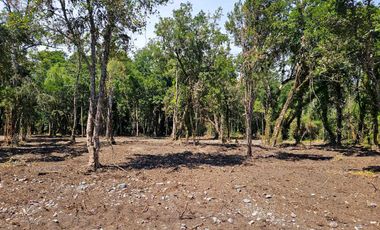 Parcelas exclusivas en Proyecto a orilla del Río Calcurrupe, Llifén, Región de Los Ríos