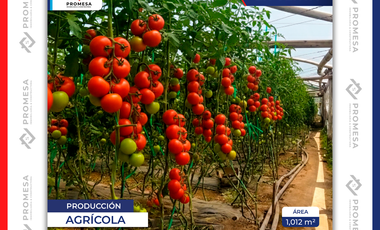 TERRENO EN EVNTA - SALCEDO, Patain, Ecuador