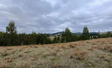 Parcelas en La Unión - Vive el sur a tu ritmo