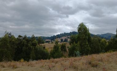 Parcelas en La Unión - Vive el sur a tu ritmo