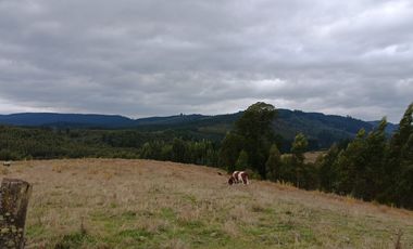 Parcelas en La Unión - Vive el sur a tu ritmo