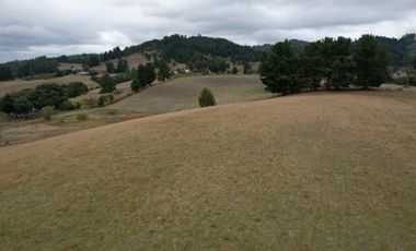 Parcelas en La Unión - Vive el sur a tu ritmo