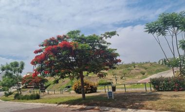 TERRENO EN VENTA SENDEROS DE MONTEVERDE