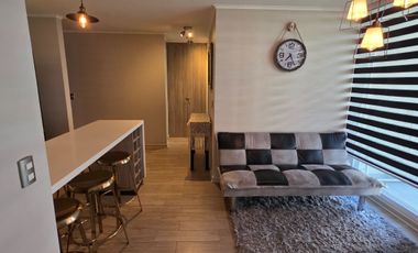 Impecable departamento amoblado en Pucón