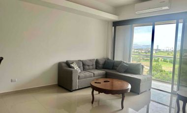 Renta Marina Platino