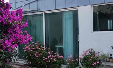 SE RENTA LOFT AMUEBLADO