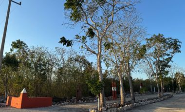 Terrenos Campestres con Servicios