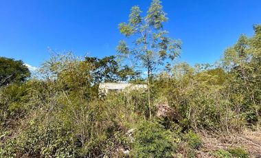 Terreno en venta en Tixkokob Yucatán a una esquina del pueblo