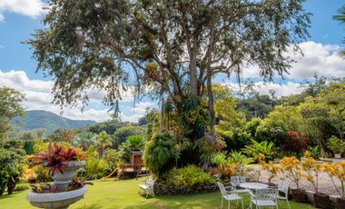 ALQUILO FINCA LA ENRAMADA EN PALESTINA INFORMES AL3007884428 FINCA PRIVADA.