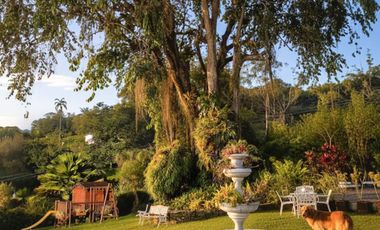 ALQUILO FINCA LA ENRAMADA EN PALESTINA INFORMES AL3007884428 FINCA PRIVADA.