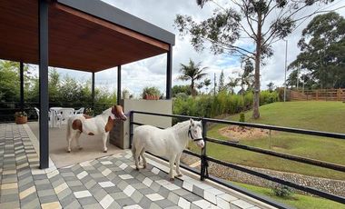 TE ALQUILO FINCA LAS BRISAS EN ANAPOIMA INFORMES AL3007879184 FINCA PRIVADA.