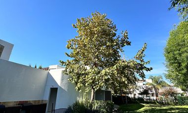 CASA EN RENTA EN SANTA FE JURIQUILLA QUERETARO