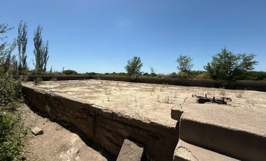 VÓRTICE INMOBILIARIA VENDE FINCA CULTIVADA DE 7 HA EN PHILIPPS, JUNÍN, MENDOZA