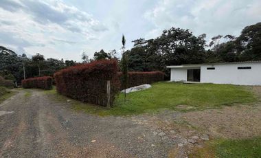 SE ARRIENDA APARTAESTUDIO CAMPESTRE EN SECTOR BALSORA VÍA ARMENIA.