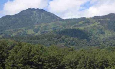 Dijual Villa Prigen, Pasuruan, Jawa Timur