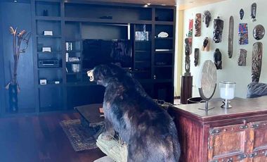 Casa en venta un zona residencial Club Campestre