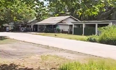 Tanah Luas Hampir 8.000 m² SHM! Harga Langka di Cileles – Lebak Banten