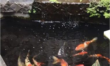 DISEWAKAN RUMAH FULL FURNISHED DI KOMPLEK SETRADAGO ANTAPANI KOTA BANDUNG