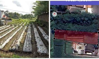 Tanah disewakan di Ngaglik, Sleman, Daerah Istimewa Yogyakarta