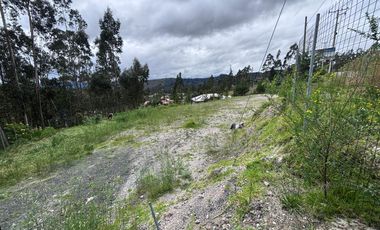 Terreno en venta Sigsipamba 3.518 m2